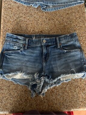 American Eagle Outfitters Blue Frayed Hem Denim Shorts